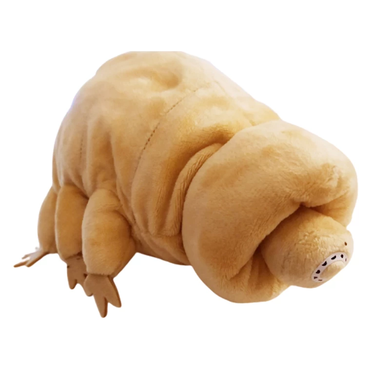 물곰 봉제인형 | 유머 게시판 물곰 봉제인형 | 유머 게시판 | 루리웹