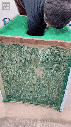 중국에 들어온 괴물 메뚜기 떼.gif_1.gif