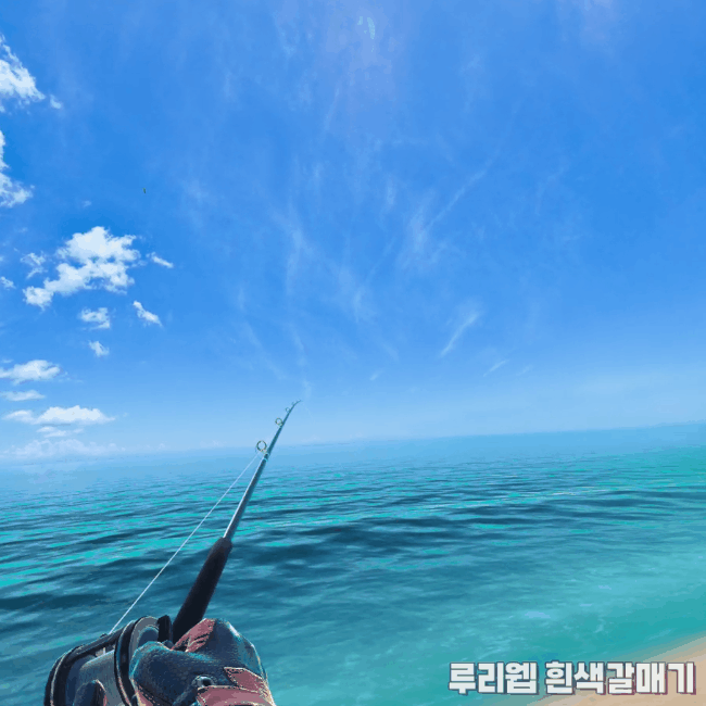 [가이드] 리얼VR피싱 상어 낚시를 위한 기초 정보_11.gif
