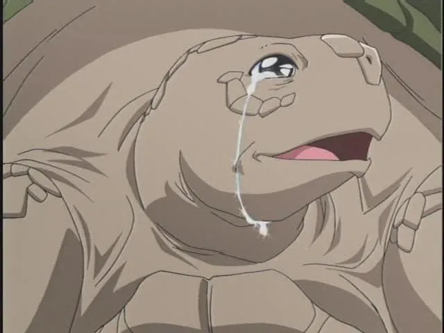 거북이가 팽이를 낳는 만화_1.webp