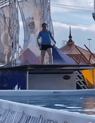 주인을 끝까지 믿은 강아지 . gif_1.gif