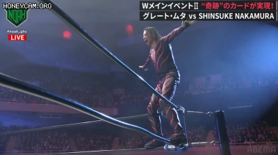 프로레슬링) 공중기 문썰트의 창시자 근황_18.webp