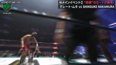 프로레슬링) 공중기 문썰트의 창시자 근황_30.webp