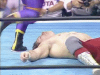 프로레슬링) 공중기 문썰트의 창시자 근황_2.gif