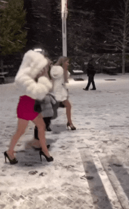 얼죽아의 라이벌 등장.gif_1.gif