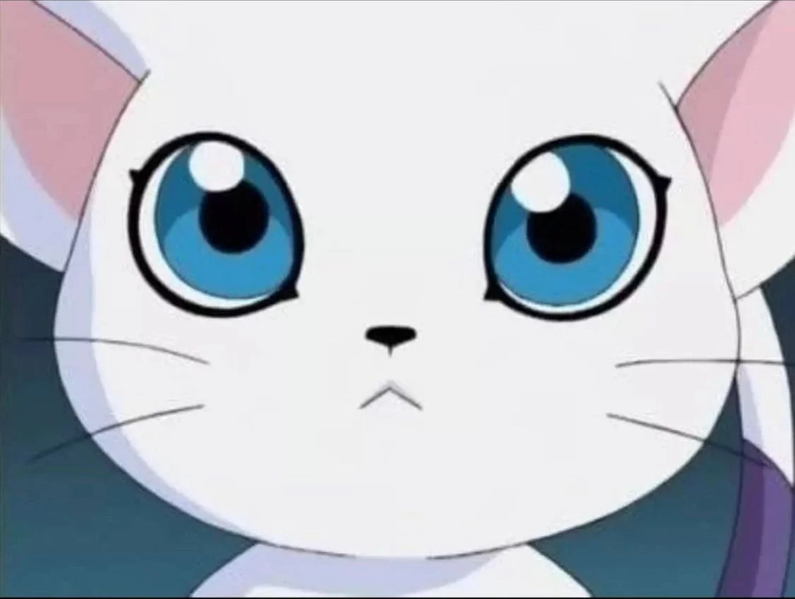 뉴진스)인간 고양이_2.webp