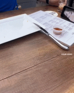 뭘 좋아할지 몰라서 다 준비해봤어.gif_1.gif