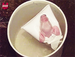 "헤헤... 주인님... 따뜻해서... 기분 좋아요...."_2.gif