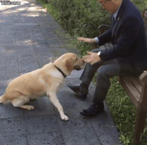 왜곡없는 이재명 짤 모음.gif_7.gif