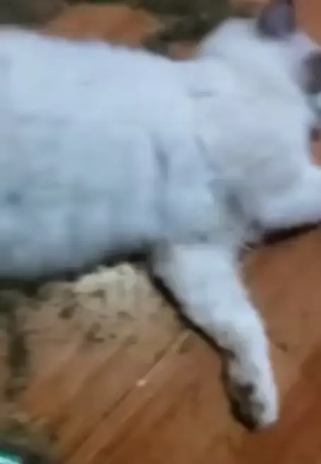 마1약파티의 현장.gif_1.webp