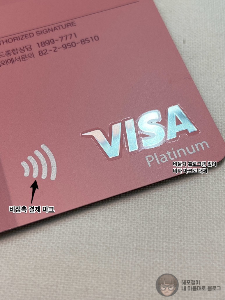 체크 카드 비자 (79) 사진
