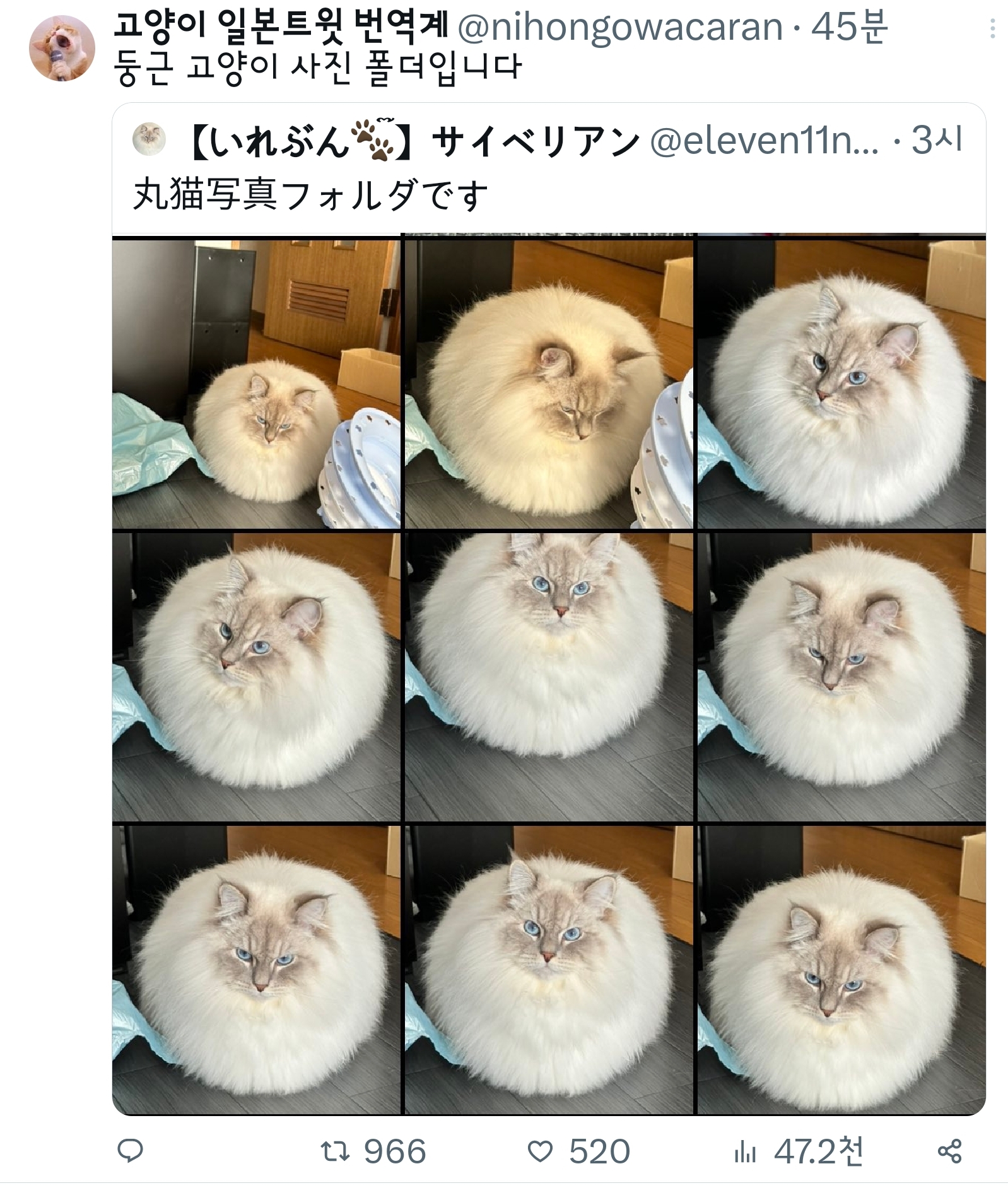 18b3e294e4d35cba5.jpg