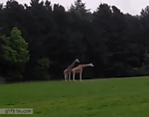 실패짤 모음.gif_7.gif