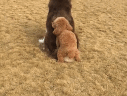 실패짤 모음.gif_8.gif