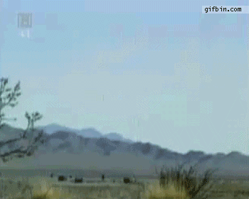 서울의봄) 이해는 되지만 솔직히 속터졌던 장면_8.gif