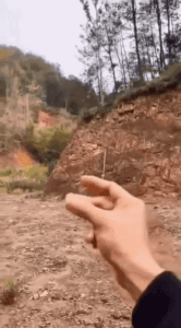새를 이용한 무공_1.gif