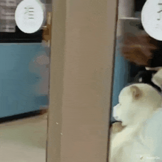 용감한 삼형제.gif_1.gif
