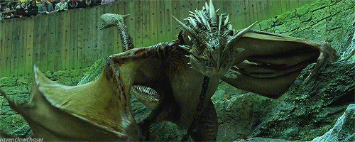 해리포터) 본편 기준 가장 위험한 마법 생물_7.gif