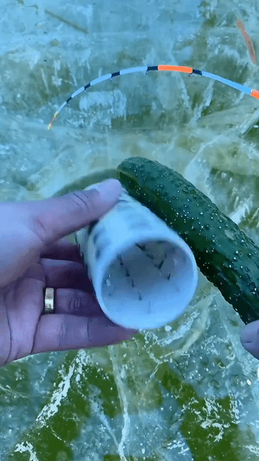 오나홀 사용법_1.gif