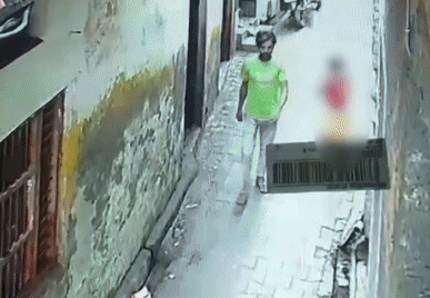 인도 원숭이들 "6살 성폭행하려던 아동 성범죄자 습격"_4.gif