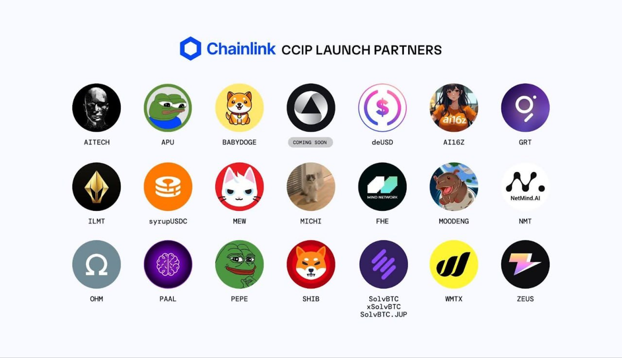 체인링크가 밀어주는 코인들 명단 공개됐네요