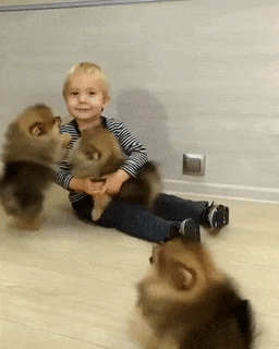 귀여움 두 배로!_1.gif
