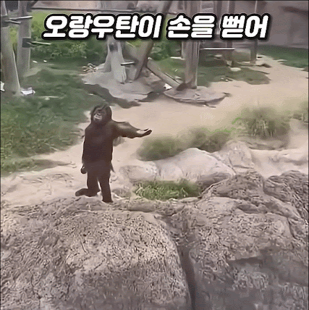 이러니 여자들이 뻑이 가지_1.gif