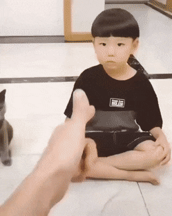 야옹이 죽은척 시키기_1.gif