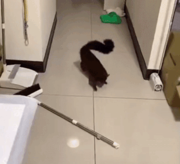 아이고! 나 죽네!!_1.gif