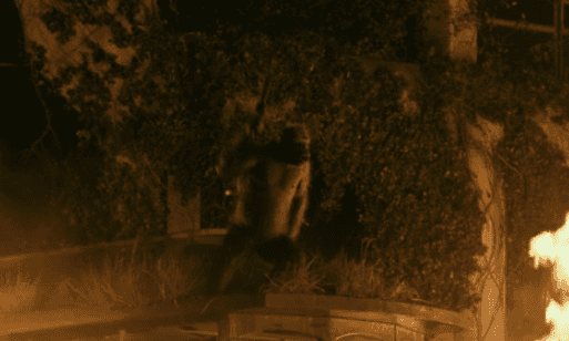 ㅇㄱㄱ ㅇㅅㄷ 다 안 봤던 사람이지만_1.gif