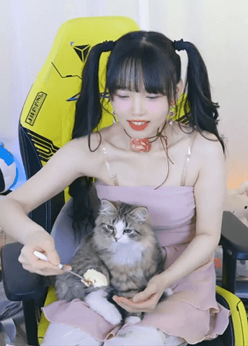 인방) 서새봄이 고양이 때문에 구입한 물건들_23.gif