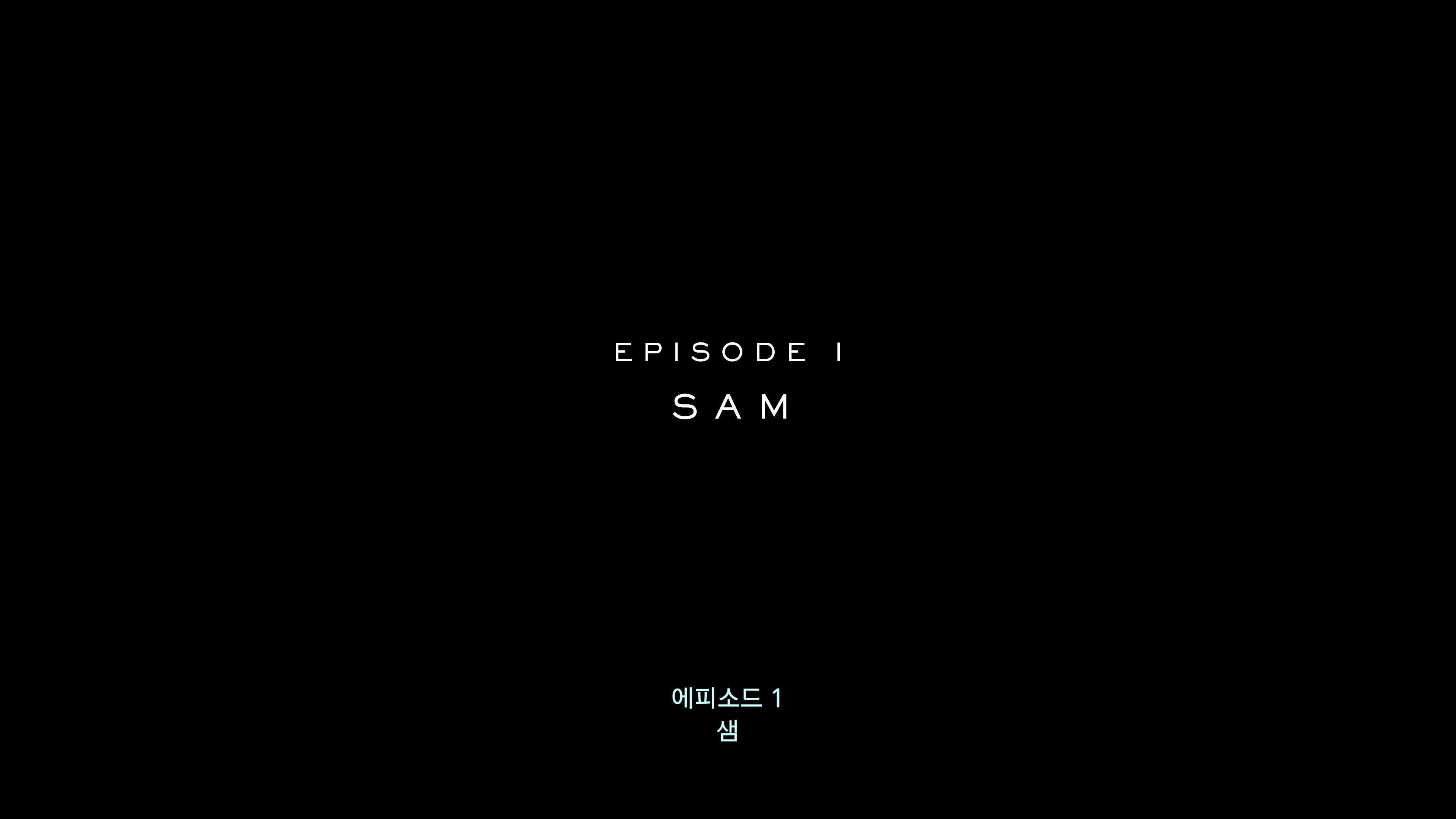 데스 스트랜딩 2 - 배달 시작(PS5 프로)_24.jpg