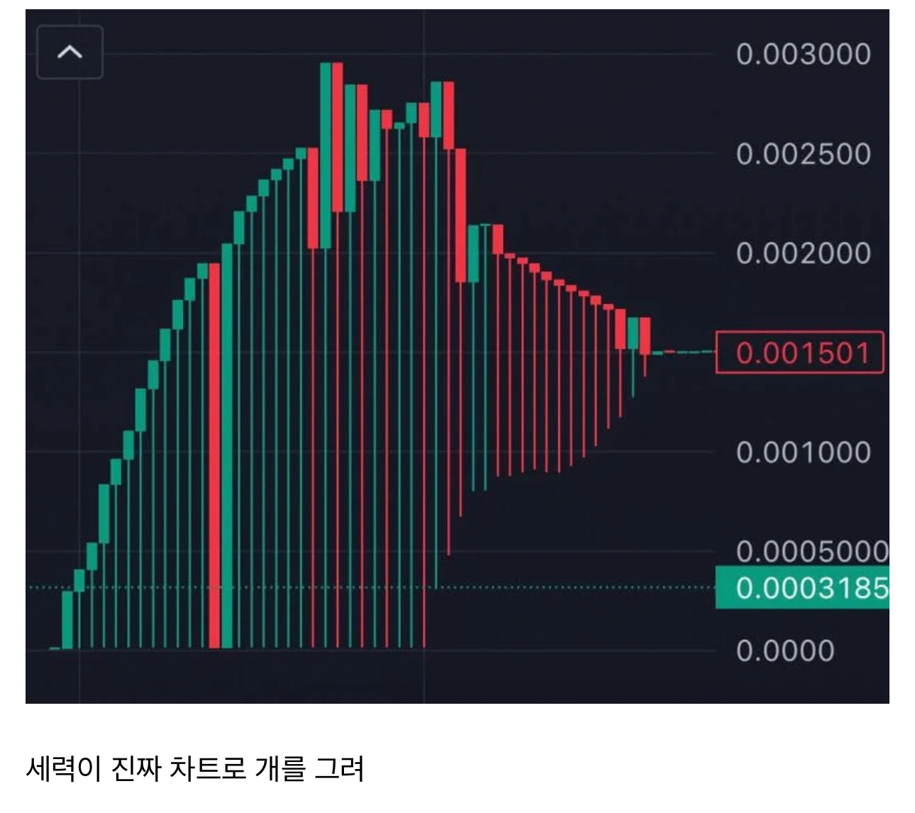 세력이 개잡코인에 개입하면 생기는 일