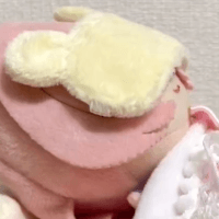 @,뱅드림,걸밴크,동방) 콘 업데이트 했습니다_54.gif