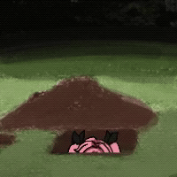 롤) 근데 울프 다이애나혐이 너무 개웃긴데 ㅋㅋㅋ_1.gif