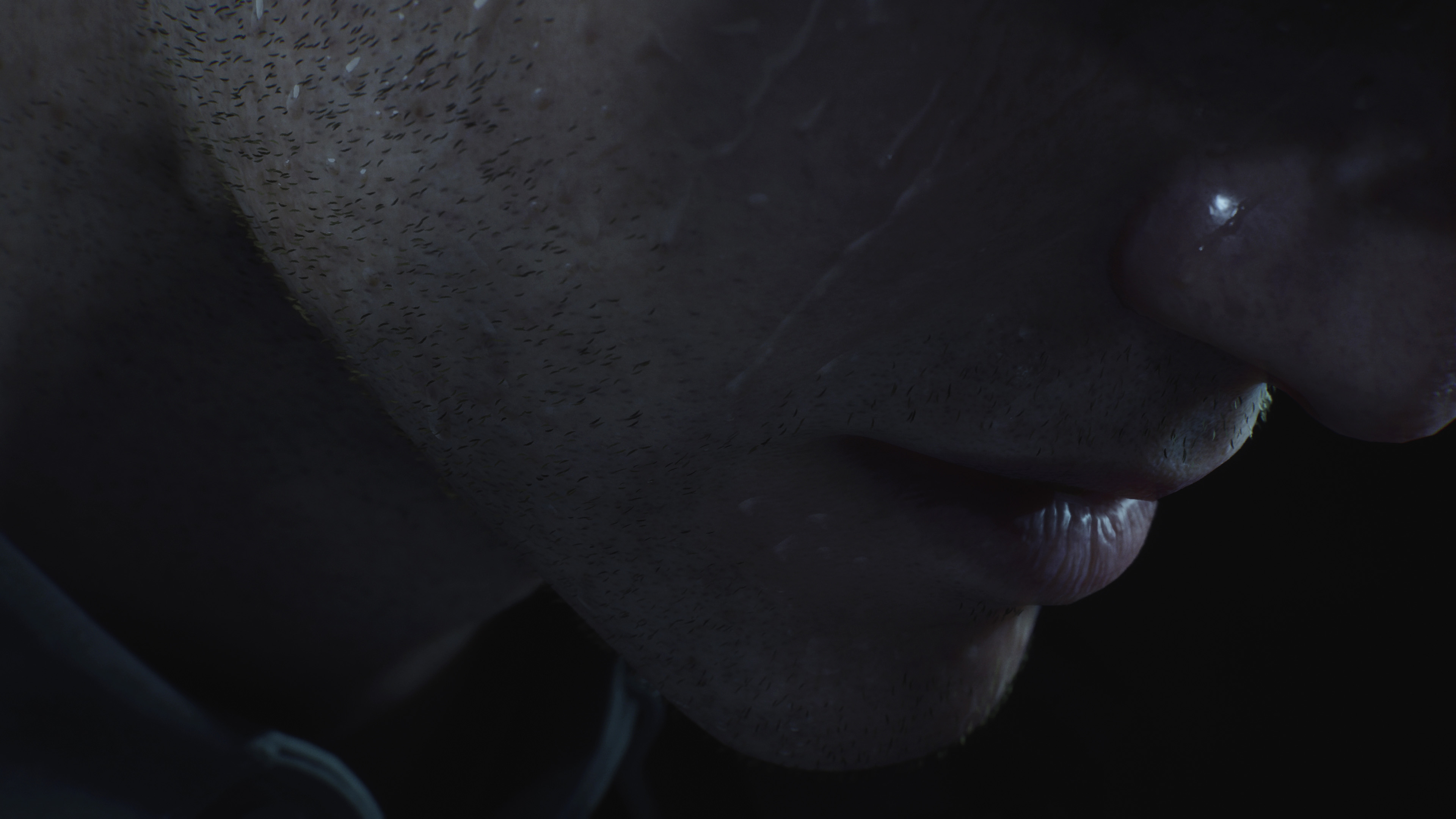 사일런트힐2 리메이크 - 잘 만든 리메이크(ps5프로)_3.jpg