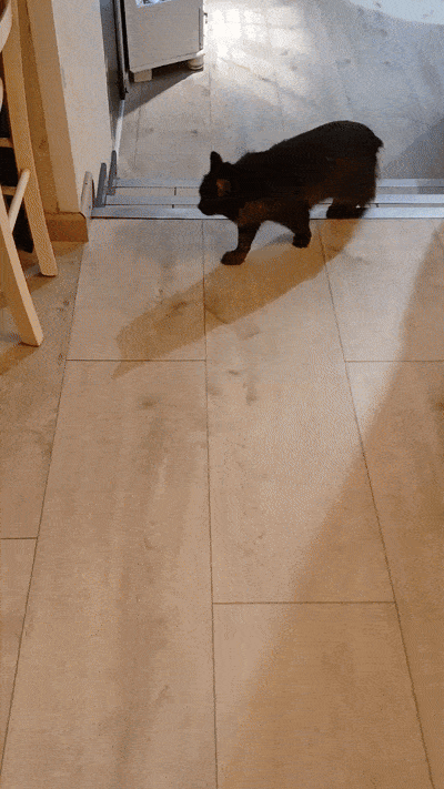 봇치의 리투아니아 여행 8화_23.gif