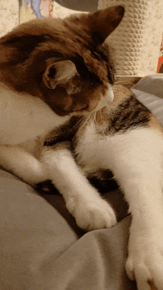 봇치의 리투아니아 여행 8화_27.gif