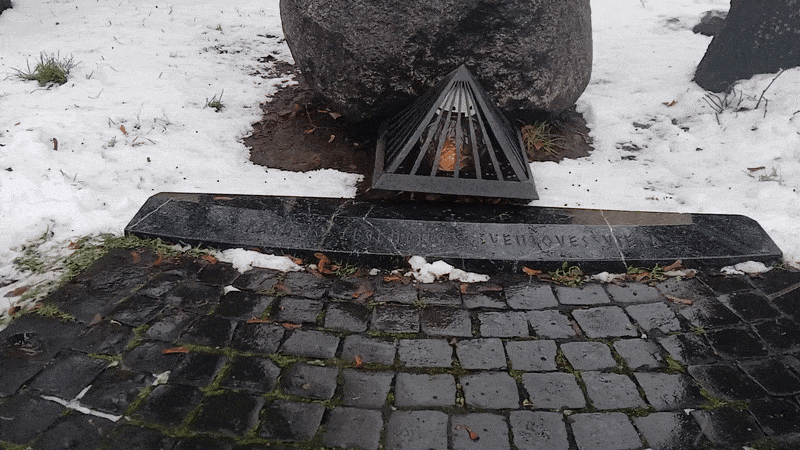 봇치의 리투아니아 여행 10화_10.gif