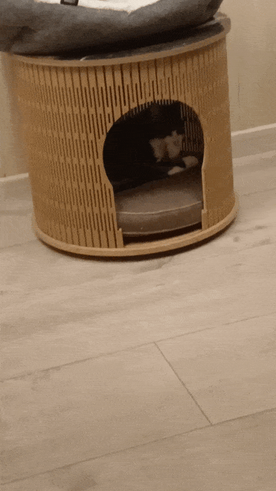 봇치의 리투아니아 여행 10화_27.gif