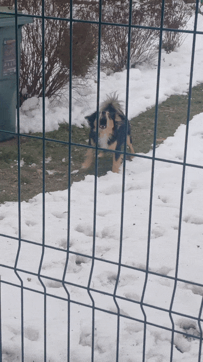 봇치의 리투아니아 여행 11화_6.gif