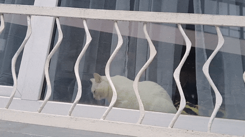 봇치의 리투아니아 여행 11화_13.gif