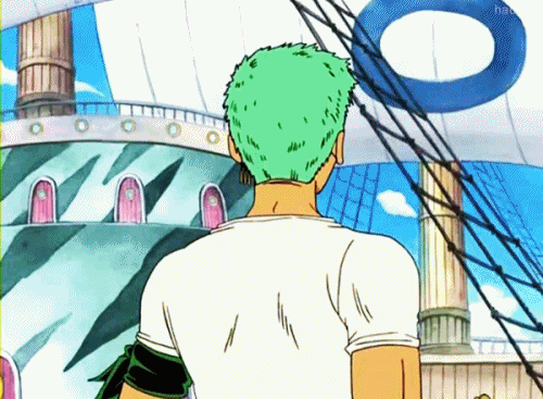 원피스 루피가 전투시 우선 보호하는 동료들_14.gif