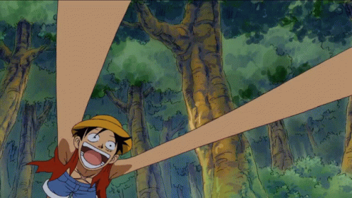 원피스 루피가 전투시 우선 보호하는 동료들_15.gif