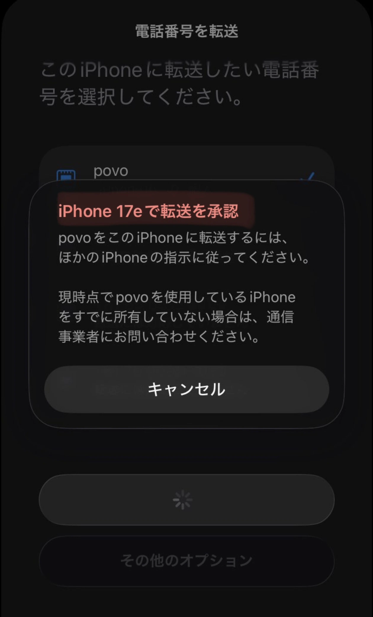 아이폰17e eSIM 설정 화면 유출로 소개된 이미지