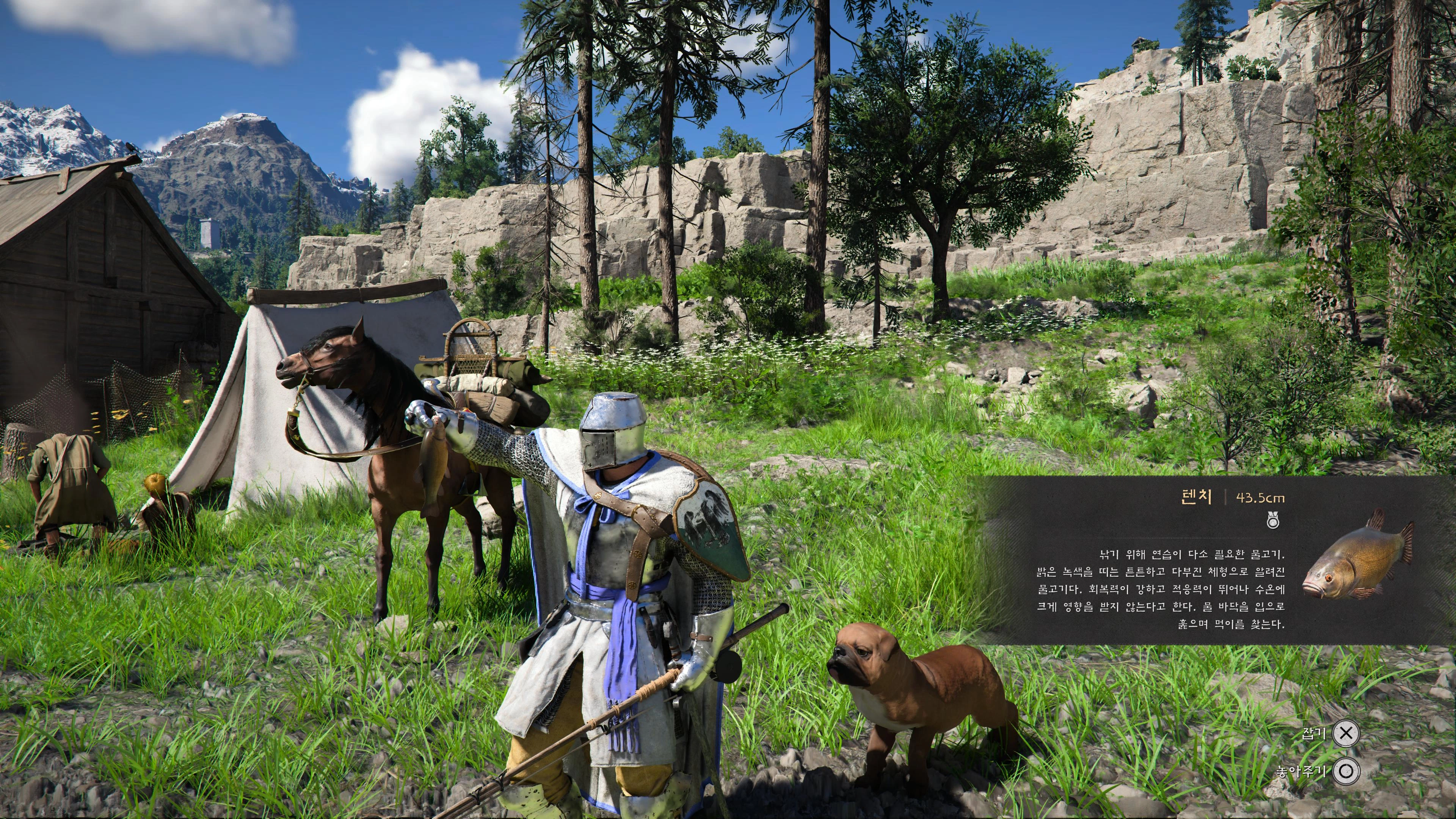 강아지 한마리 입양했습니다_2.webp