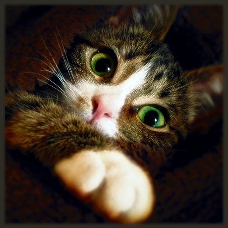 profile_image