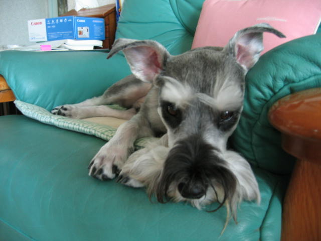 profile_image