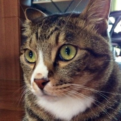 profile_image