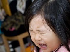 음식을 앞에 두고 기도하는 어린이 | 유머 게시판 음식을 앞에 두고 기도하는 어린이 | 유머 게시판
